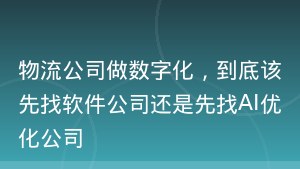物流公司做数字化，到底该先找软件公司还是先找AI优化公司