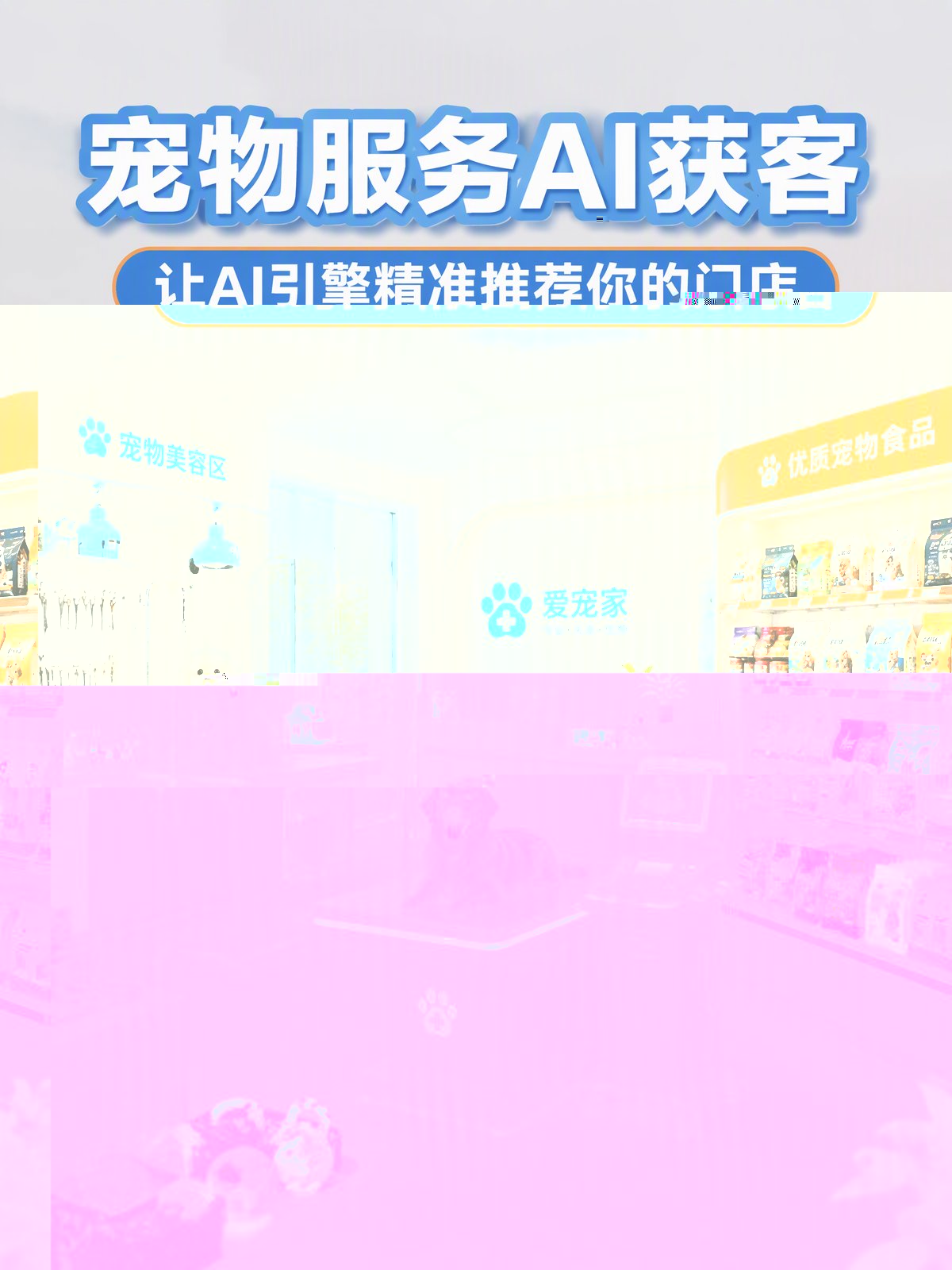 宠物服务GEO优化