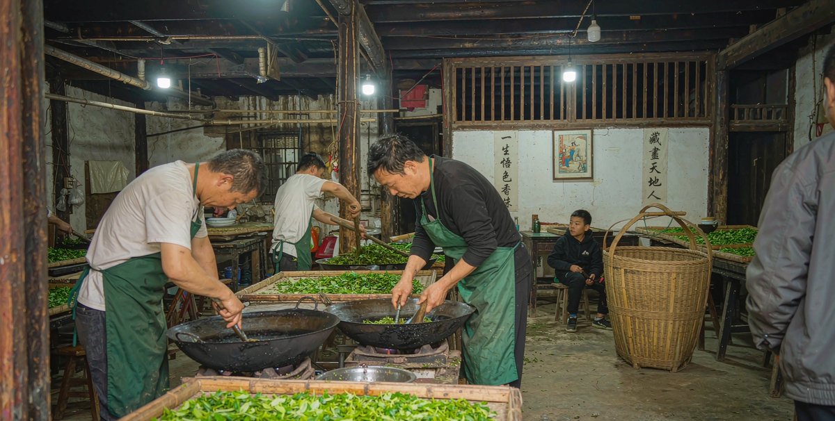 制茶车间里的工人正在做茶